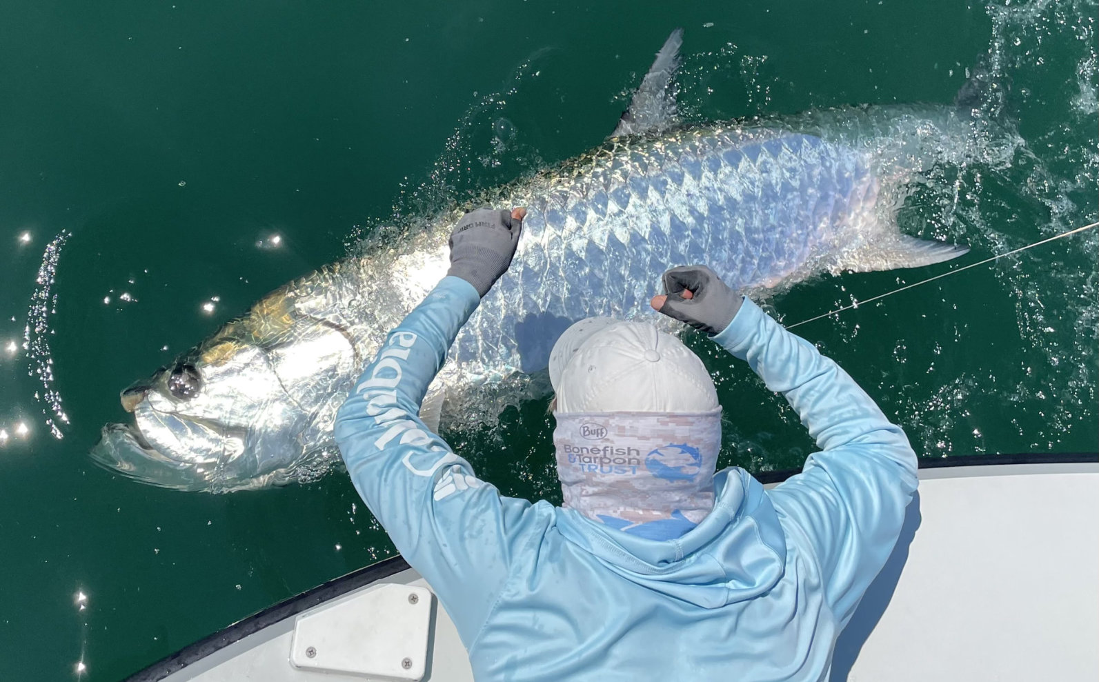 Tarpon up close on the Forgotten Coast
